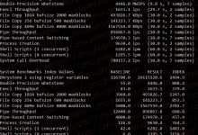 1-VPS 1GB内存 2TB空间 德国KVM VPS测评-主机百科