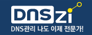 DNSZi – 完全免费的韩国DNS管理服务的图片